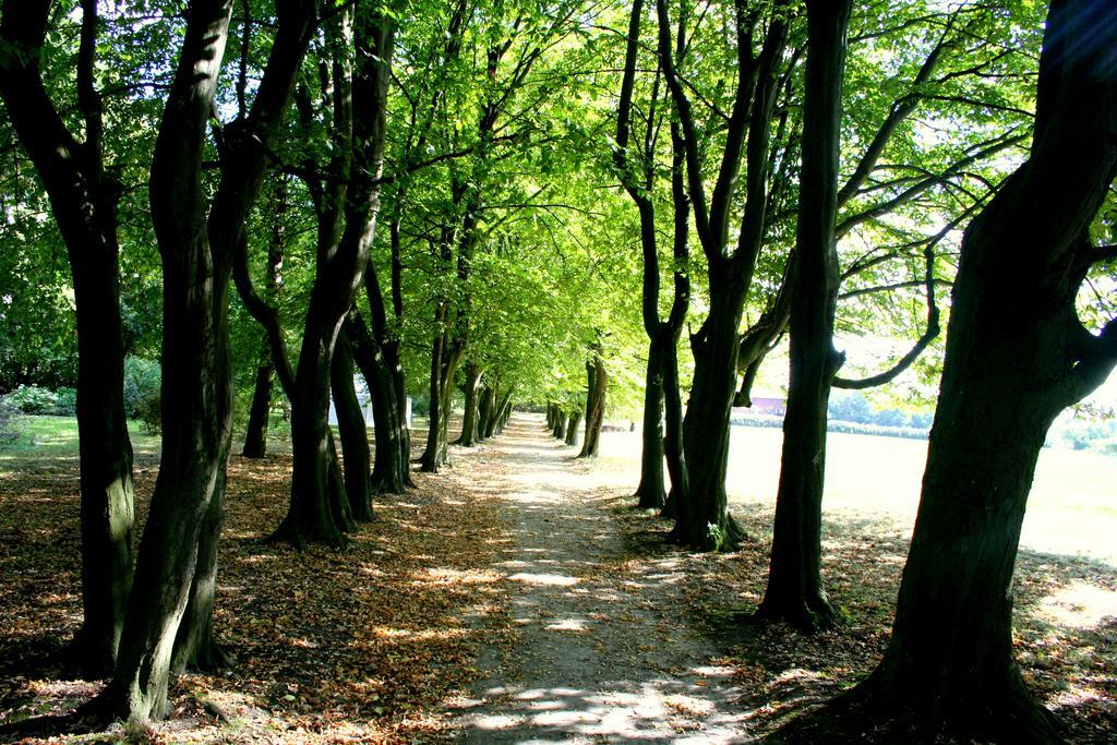 Dwór Podstolice Vila Exterior foto